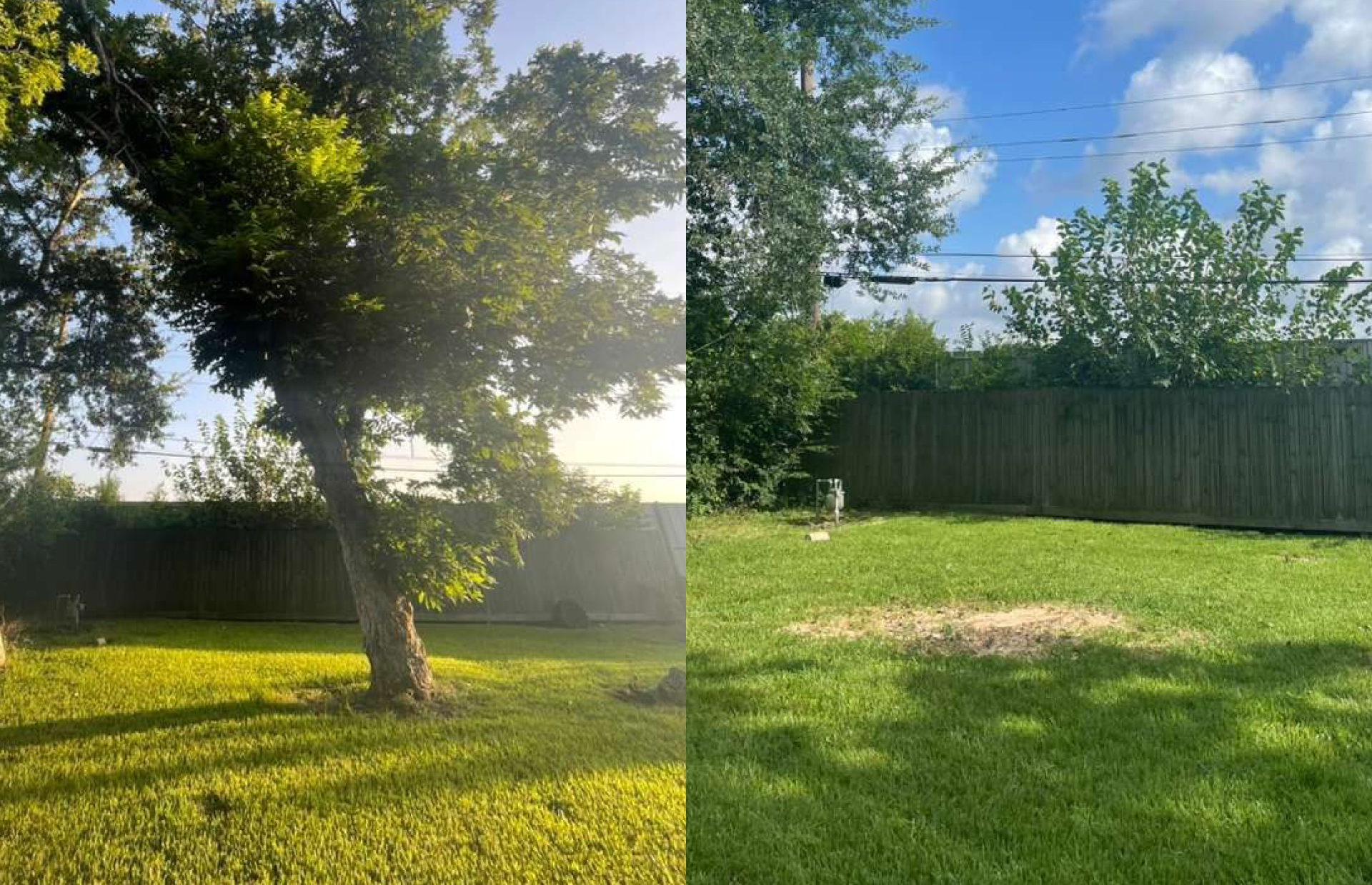 Stump Grinding